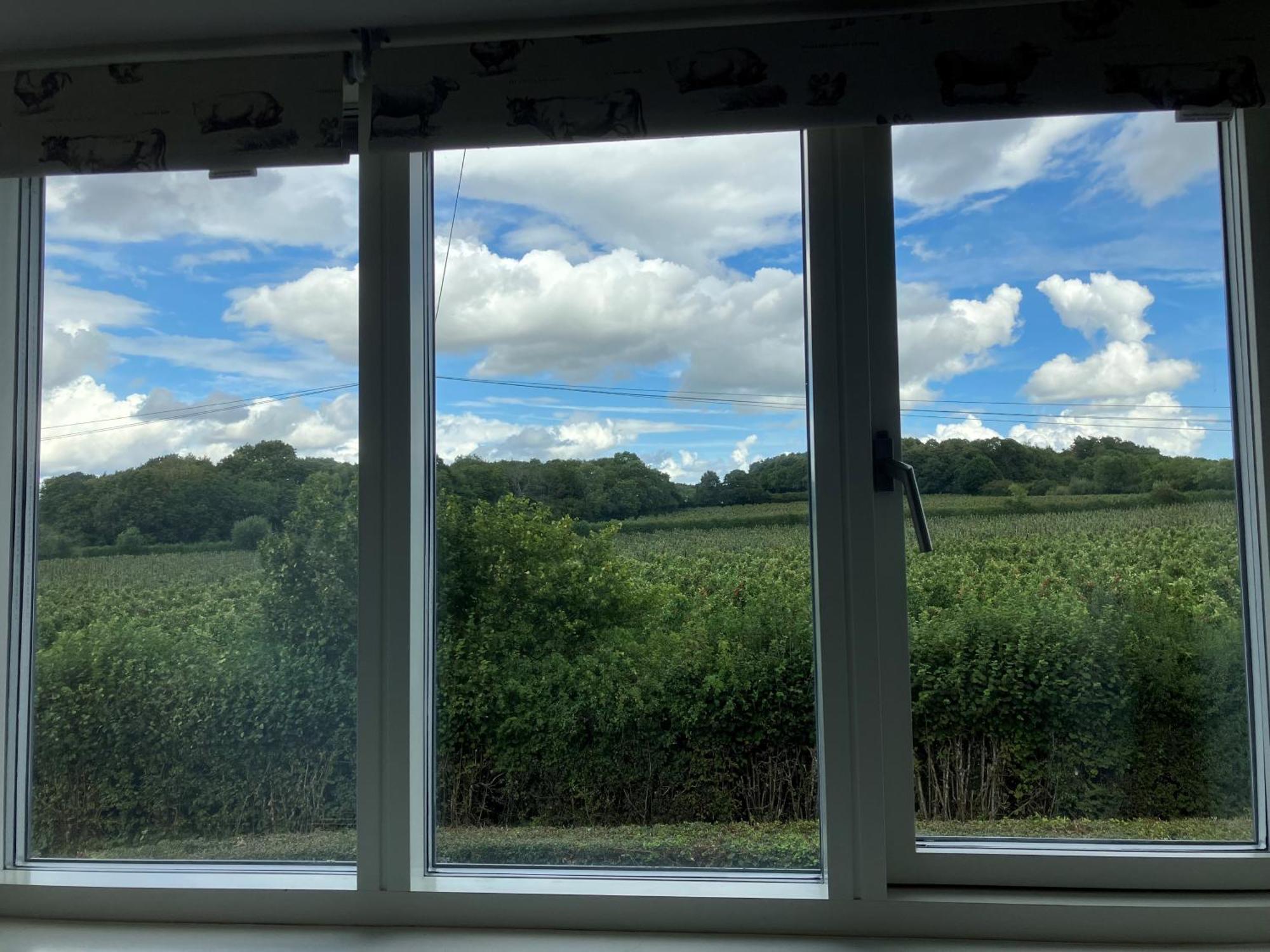 Withy Farm Panzió Canterbury Kültér fotó
